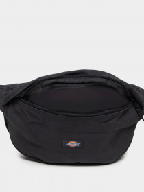 Поясная сумка Dickies Duck Canvas модель DK0A4XOYBLK1 Фото