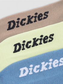 Набор носков Dickies No Show модель DK0A4Z2LH141 Набор носков Dickies No Show модель DK0A4Z2LH141 Фото