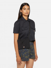 Кросс-боди Dickies Fincastle Pouch модель DK0A4YP5BLK1 Фото
