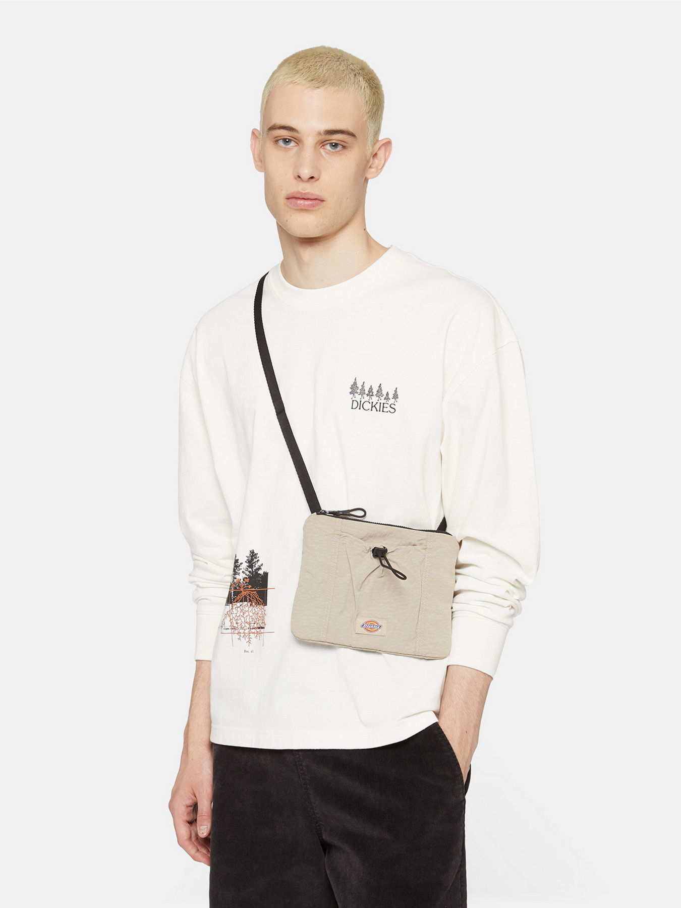 Кросс-боди Dickies Fincastle Pouch модель DK0A4YP5SS01 Фото