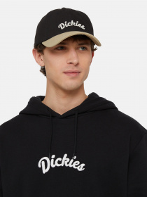 Кепка Dickies Seasonal модель DK0A4YPABLK1 Фото