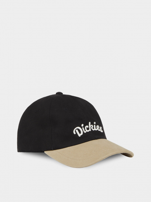 Кепка Dickies Seasonal модель DK0A4YPABLK1 Фото