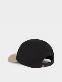 Кепка Dickies Seasonal модель DK0A4YPABLK1 Фото