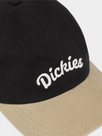 Кепка Dickies Seasonal модель DK0A4YPABLK1 Фото