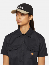 Кепка Dickies Seasonal модель DK0A4YPABLK1 Фото