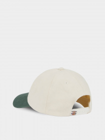 Кепка Dickies Seasonal модель DK0A4YPAC581 Фото