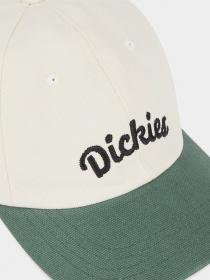 Кепка Dickies Seasonal модель DK0A4YPAC581 Фото