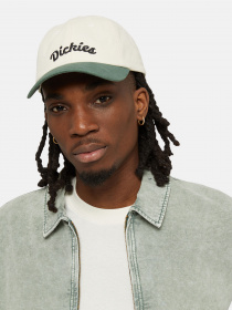 Кепка Dickies Seasonal модель DK0A4YPAC581 Фото