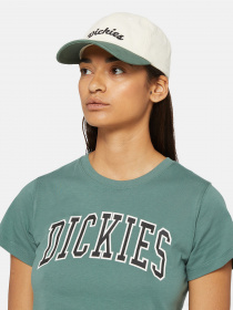 Кепка Dickies Seasonal модель DK0A4YPAC581 Фото