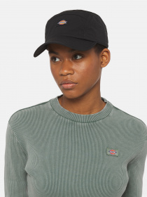 Кепка Dickies Fincastle модель DK0A4YPCBLK1 Фото