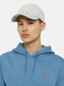 Кепка Dickies Hardwick Denim модель DK0A4YPHC151 Фото