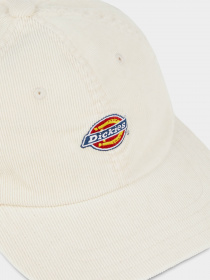 Кепка Dickies Chase City модель DK0A4YPJF901 Фото
