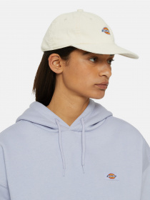 Кепка Dickies Chase City модель DK0A4YPJF901 Фото