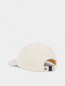 Кепка Dickies Chase City модель DK0A4YPJF901 Кепка Dickies Chase City модель DK0A4YPJF901 Фото