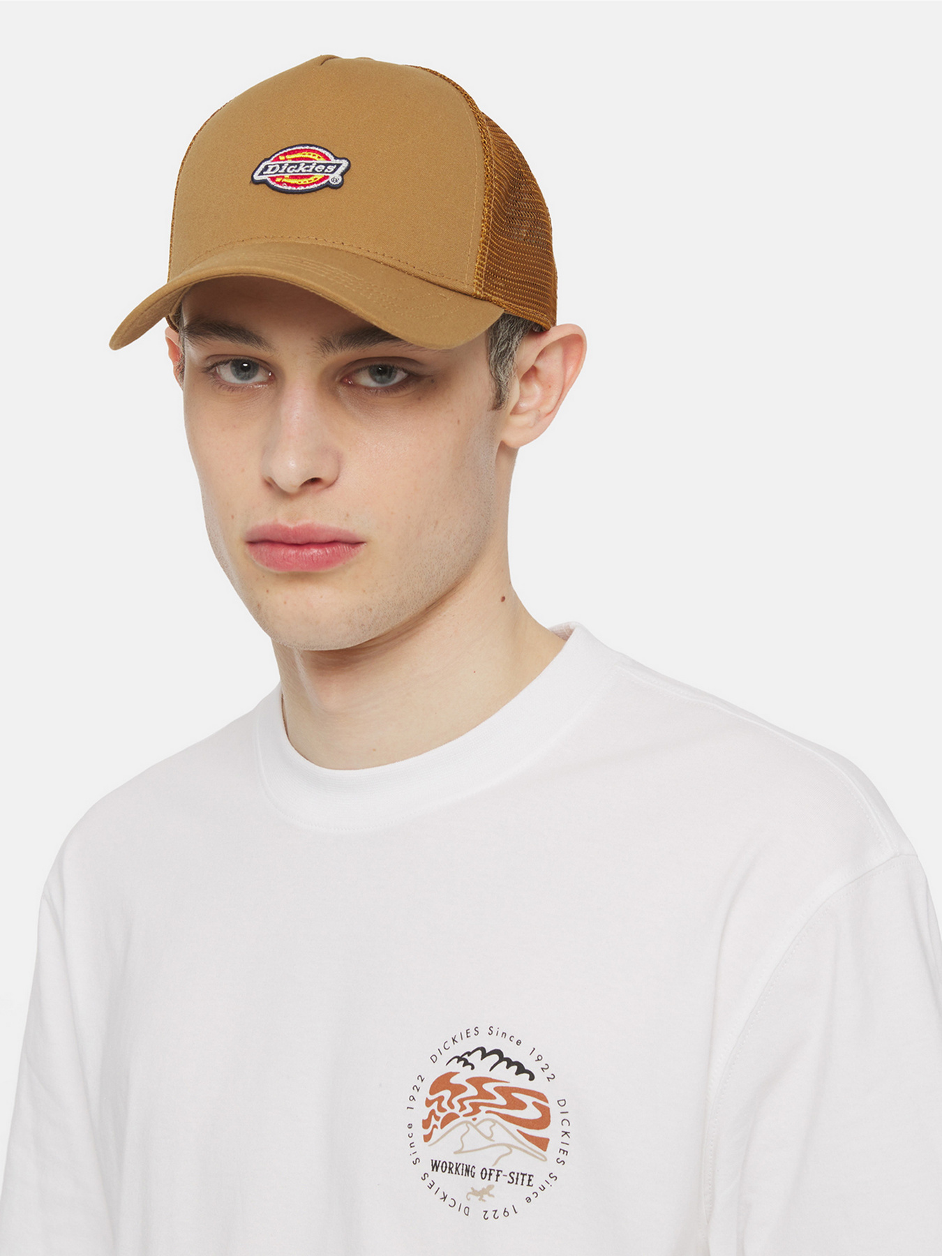 Кепка Dickies Hanston Trucker модель DK0A4YV3BD01 Фото