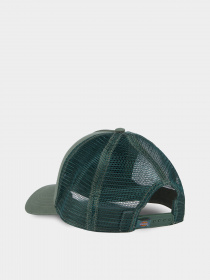 Кепка Dickies Hanston Trucker модель DK0A4YV3H151 Фото