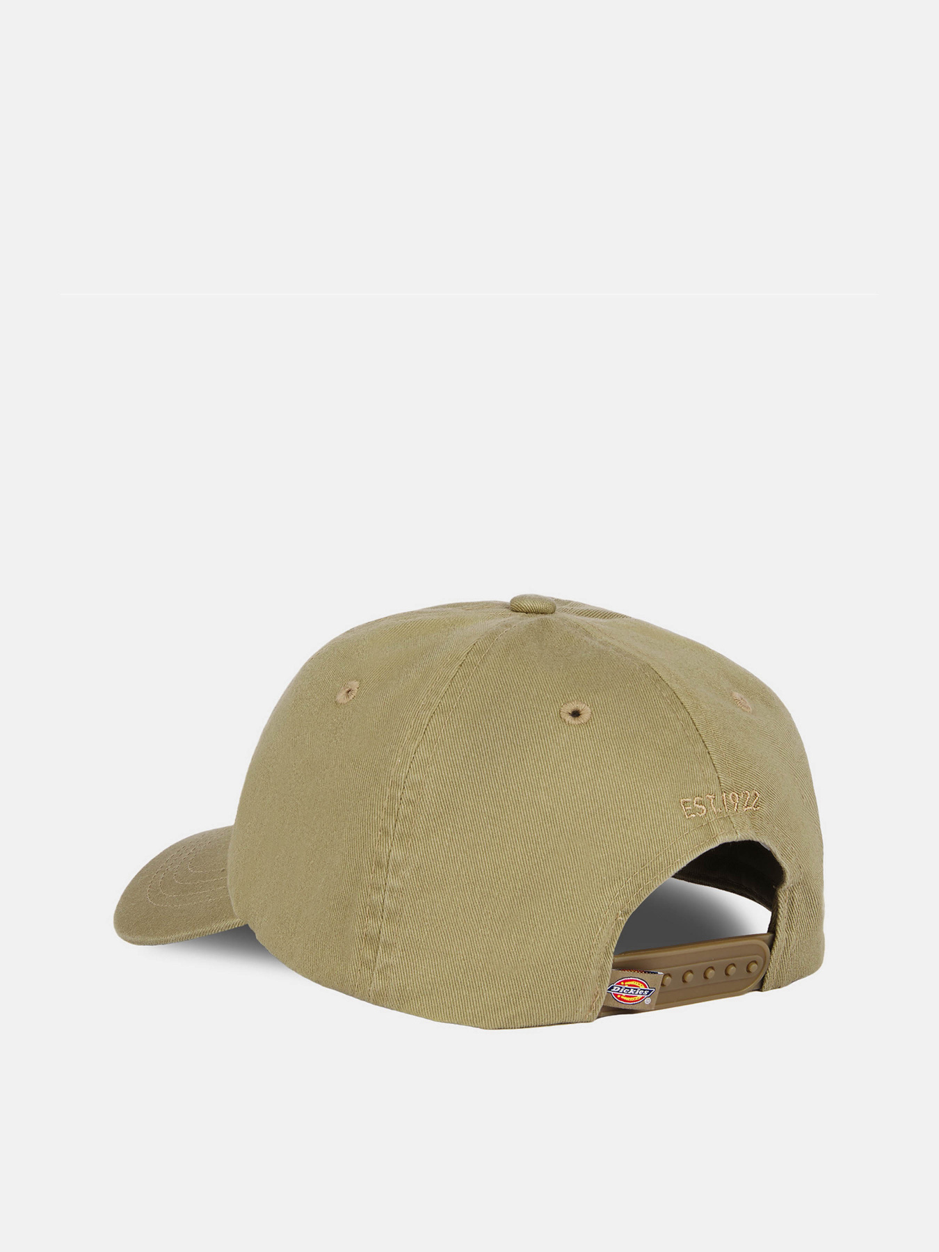 Кепка Dickies Hardwick модель DK0A4TKV0IP1 Кепка Dickies Hardwick модель DK0A4TKV0IP1 Фото