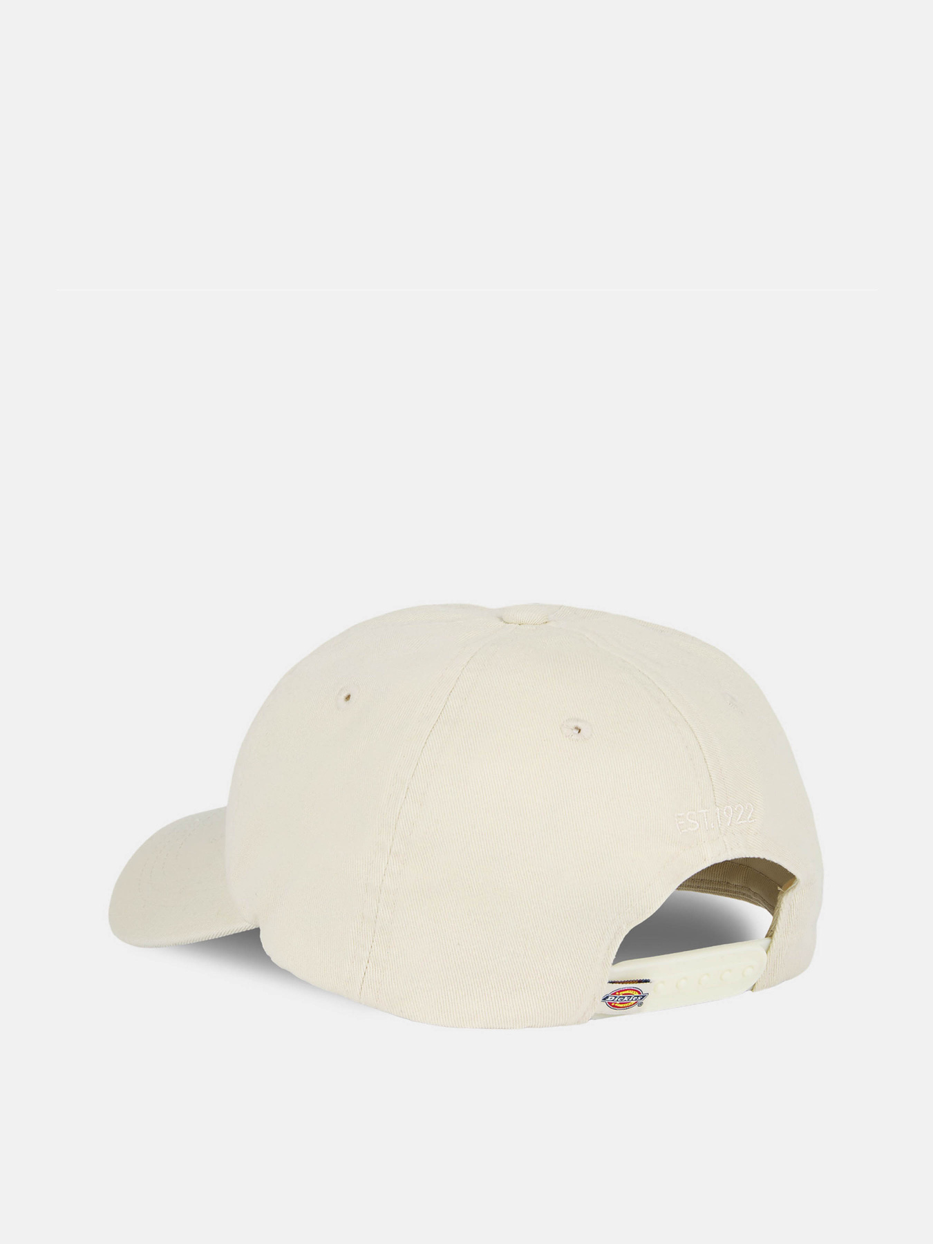 Кепка Dickies Hardwick модель DK0A4TKVF901 Фото