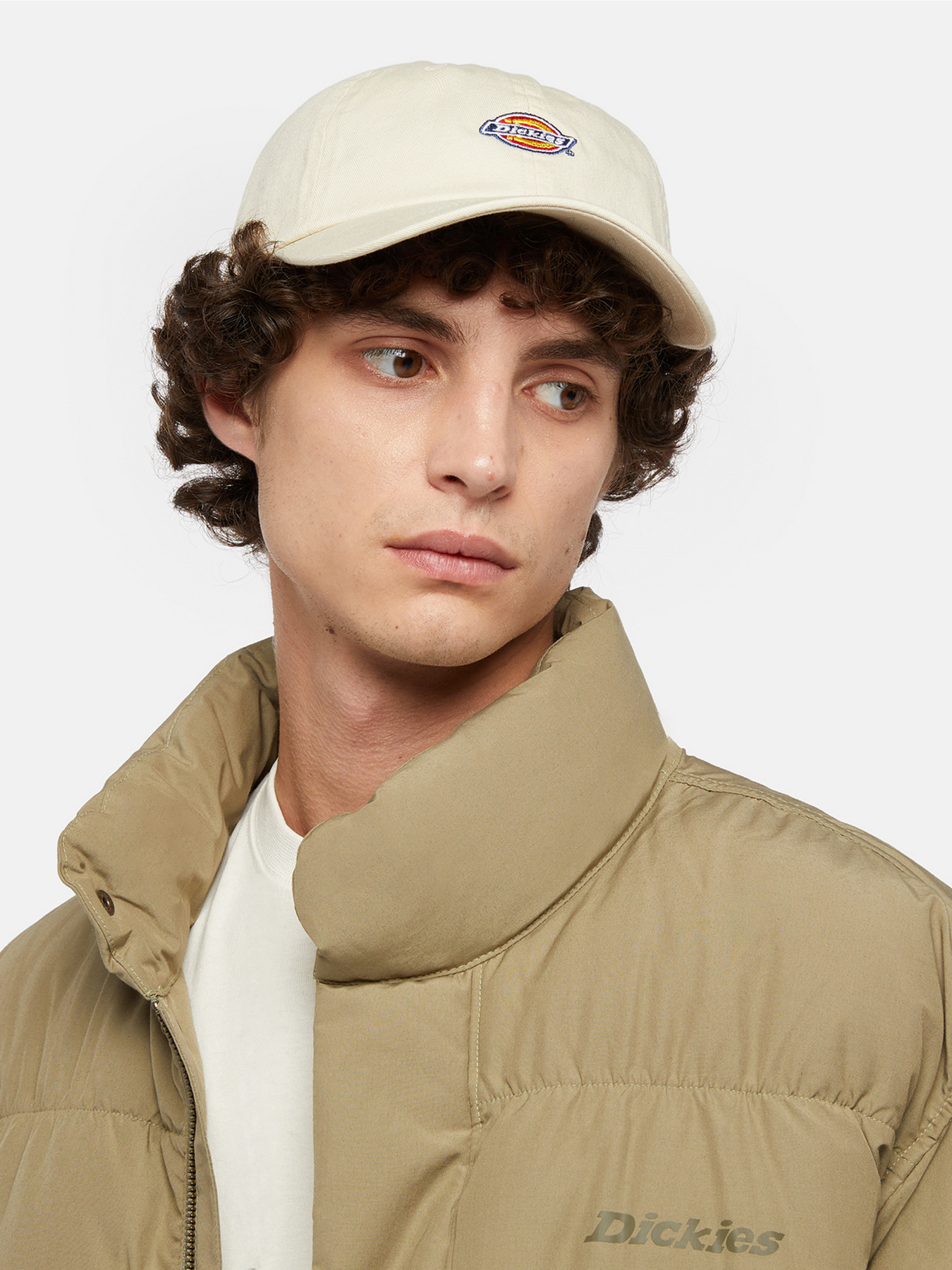 Кепка Dickies Hardwick модель DK0A4TKVF901 Фото