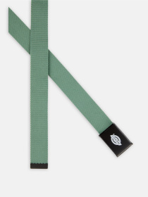 Ремінь Dickies Orcutt модель DK0A4X7EOGX1 Фото