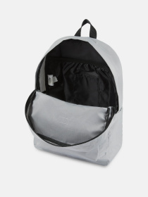 Рюкзак Dickies Chickaloon модель DK0A4XIQD061 Фото