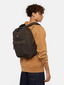 Рюкзак Dickies Dickies Duck Canvas 22L модель DK0A4YOC0DB1 Фото