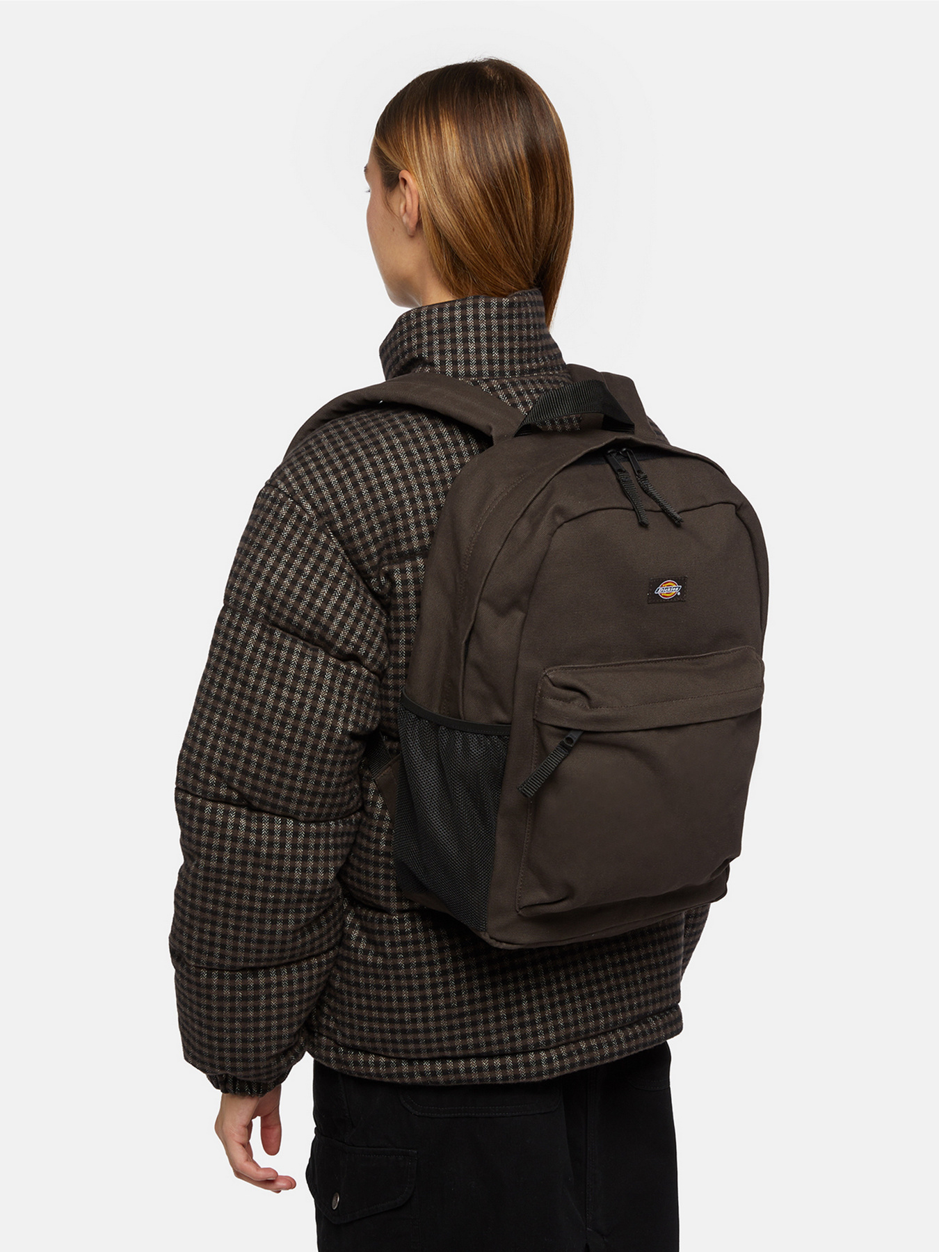 Повсякденний рюкзак Dickies Dickies Duck Canvas 22L модель DK0A4YOC0DB1 Фото