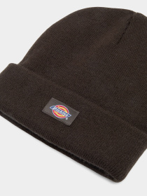 Шапка Dickies Gibsland модель DK0A4X7K0DB1 Фото