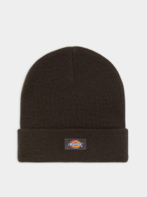 Шапка Dickies Gibsland модель DK0A4X7K0DB1 Фото