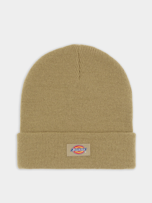 Шапка Dickies Gibsland модель DK0A4X7K0IP1 Фото