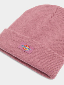 Шапка Dickies Gibsland модель DK0A4X7KJ541 Фото