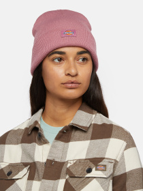 Шапка Dickies Gibsland модель DK0A4X7KJ541 Фото