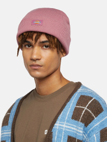Шапка Dickies Gibsland модель DK0A4X7KJ541 Фото