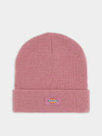 Шапка Dickies Gibsland модель DK0A4X7KJ541 Фото