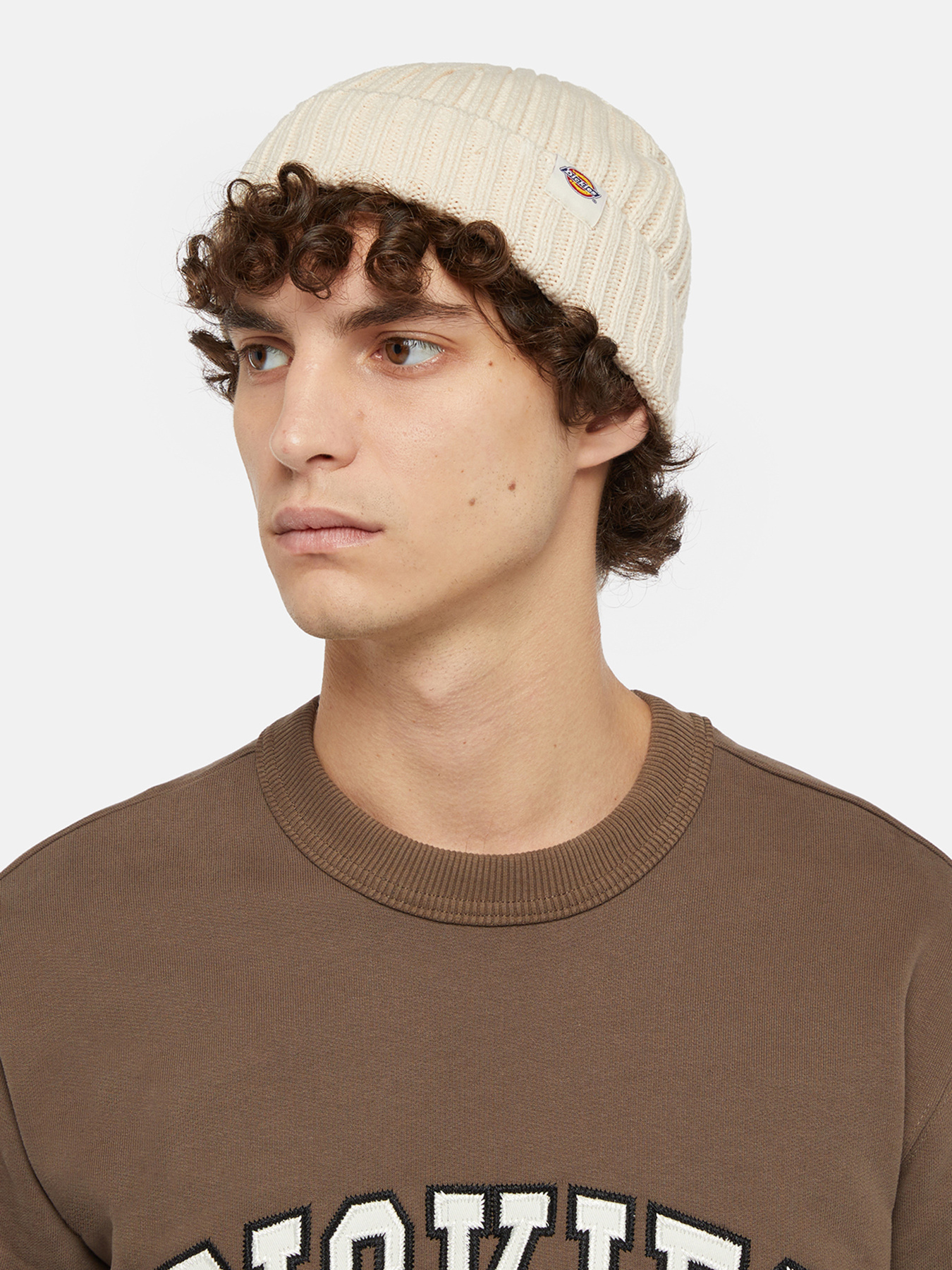 Шапка Dickies Lockwood модель DK0A4Z2OF901 Фото