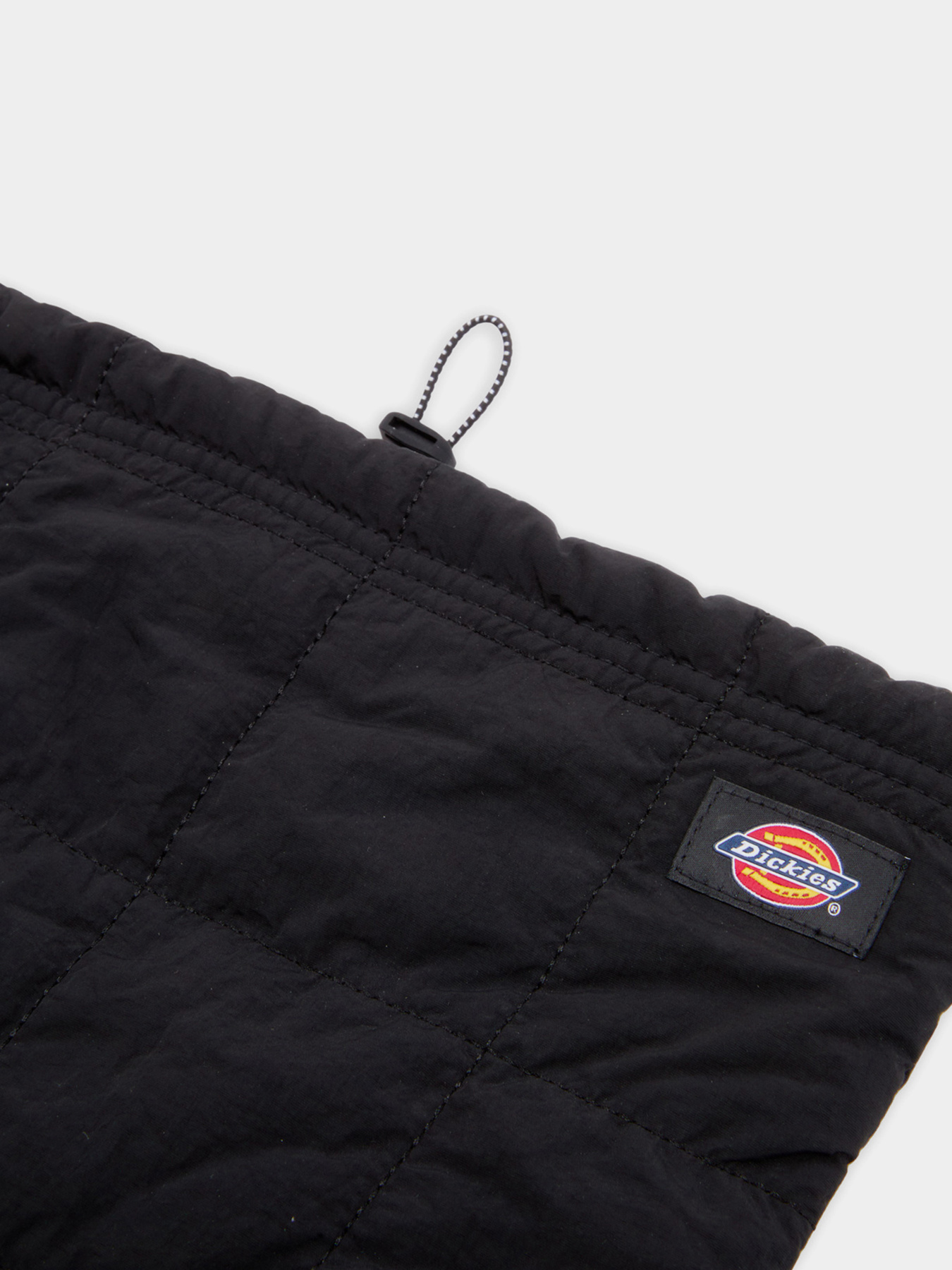 Dickies модель DK0A4Z3BBLK1 Фото