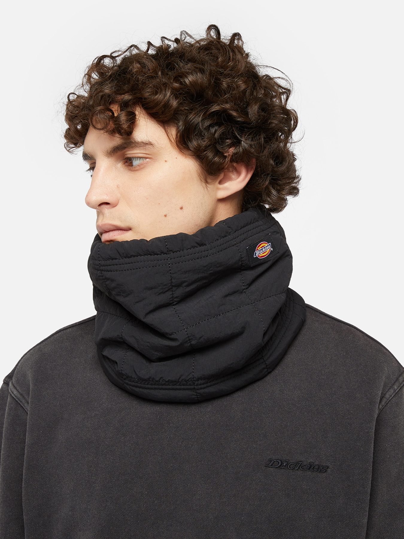 Dickies модель DK0A4Z3BBLK1 Фото