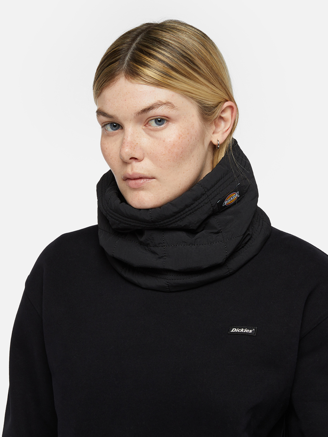 Dickies модель DK0A4Z3BBLK1 Фото