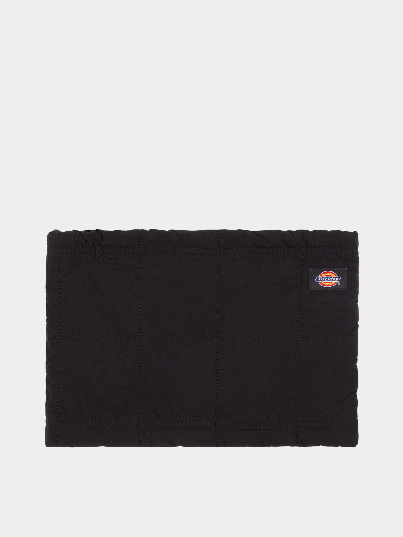 Dickies модель DK0A4Z3BBLK1 Фото