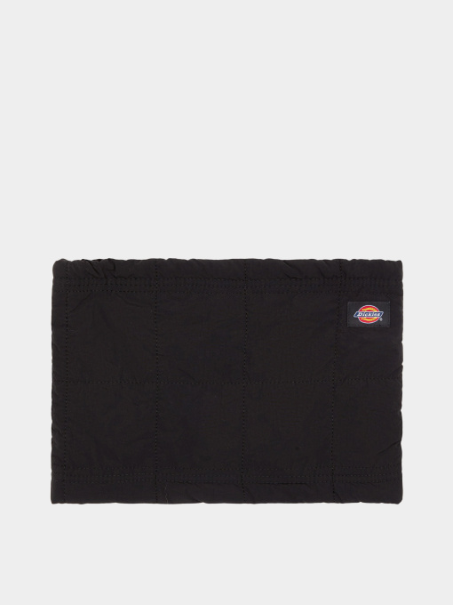 Dickies модель DK0A4Z3BBLK1 Фото