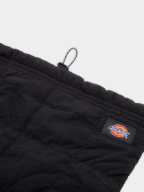 Dickies модель DK0A4Z3BBLK1 Фото