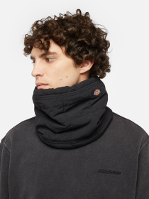 Dickies модель DK0A4Z3BBLK1 Фото