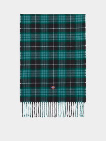 Шарф Dickies Stevensville модель DK0A4Z3HBLK1 Фото