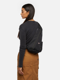 Сумка Dickies Ashville Sling модель DK0A4Z3IBLK1 Фото