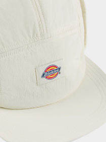 Кепка Dickies Glendive модель DK0A4Z3LF901 Фото