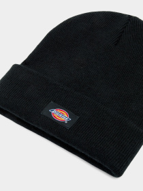 Шапка Dickies Gibsland модель DK0A4Z3RBLK1 Фото