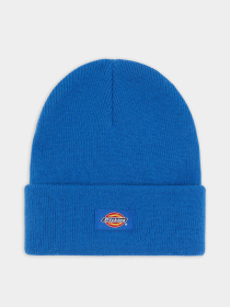 Шапка Dickies Gibsland модель DK0A4Z3RJ531 Фото