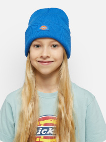 Шапка Dickies Gibsland модель DK0A4Z3RJ531 Фото