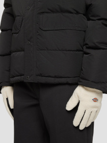 Рукавички Dickies Pinesdale модель DK0A4ZAVF901 Фото