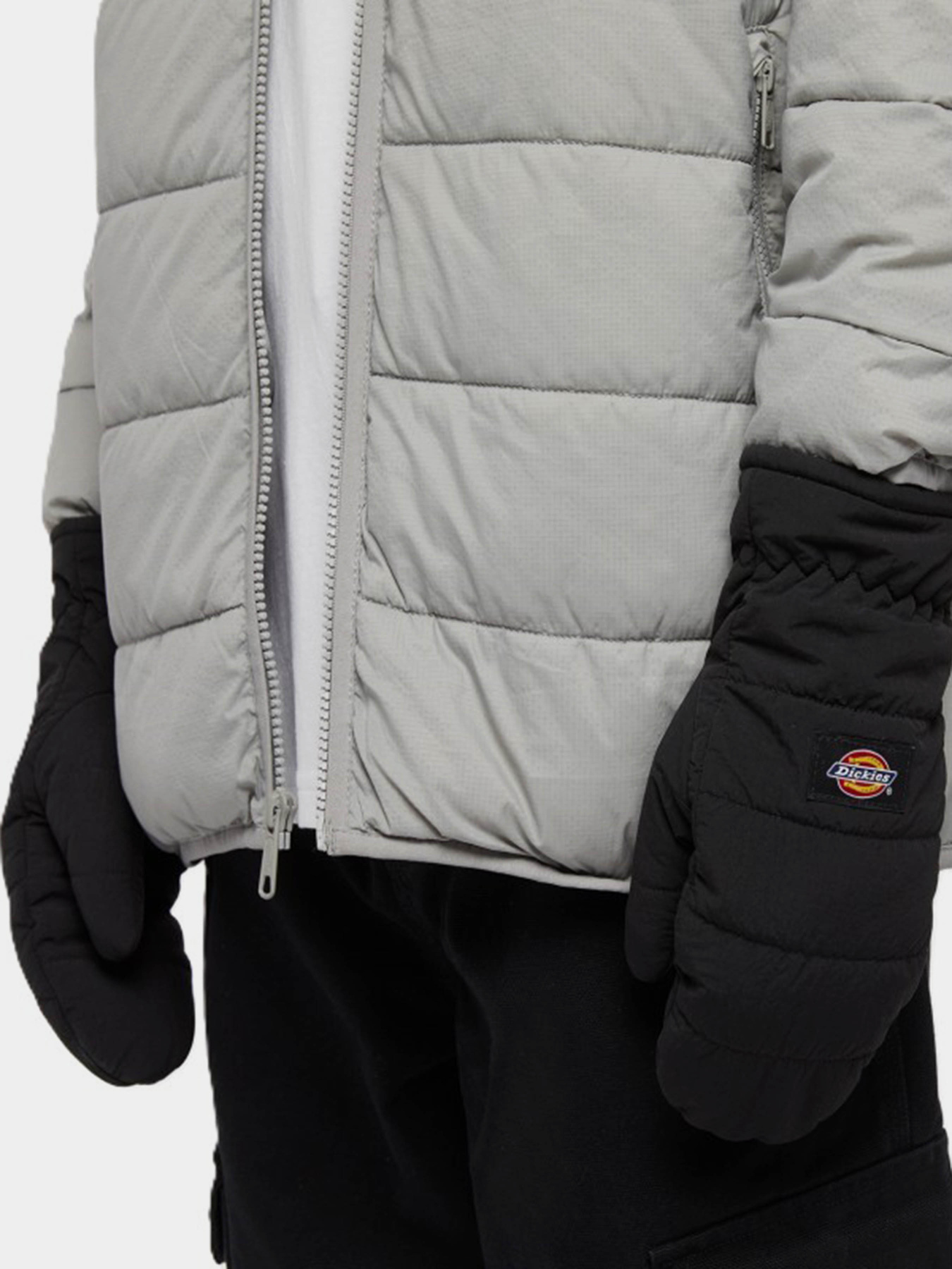 Dickies модель DK0A4ZAZBLK1 Dickies модель DK0A4ZAZBLK1 Фото